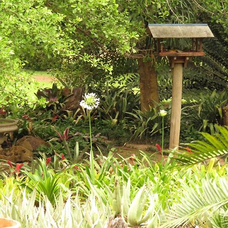 Kiaat Bungalows Hazyview Luaran gambar
