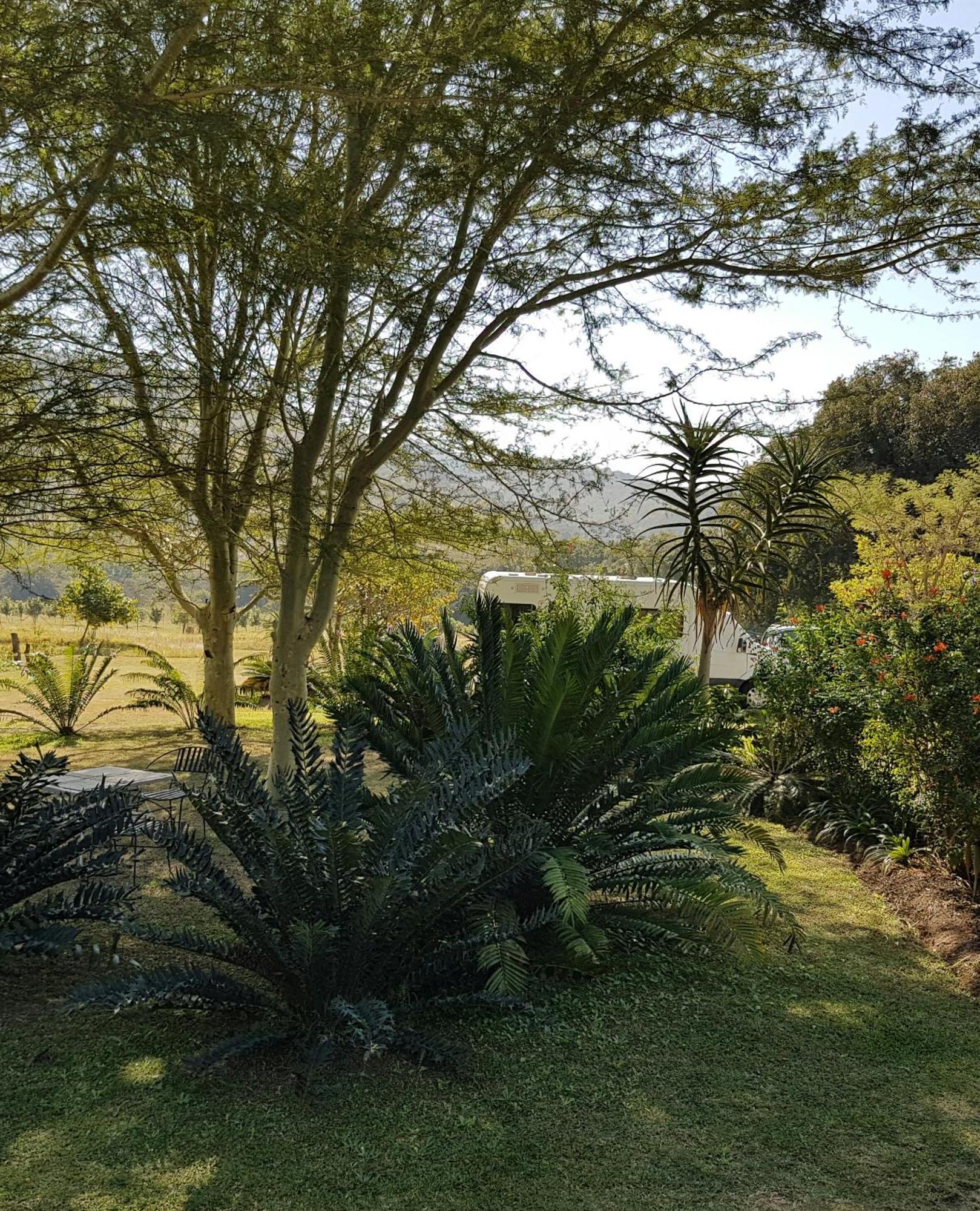 Kiaat Bungalows Hazyview Luaran gambar